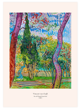 Van Gogh Parc de l'hôpital Saint-Paul - Art Print